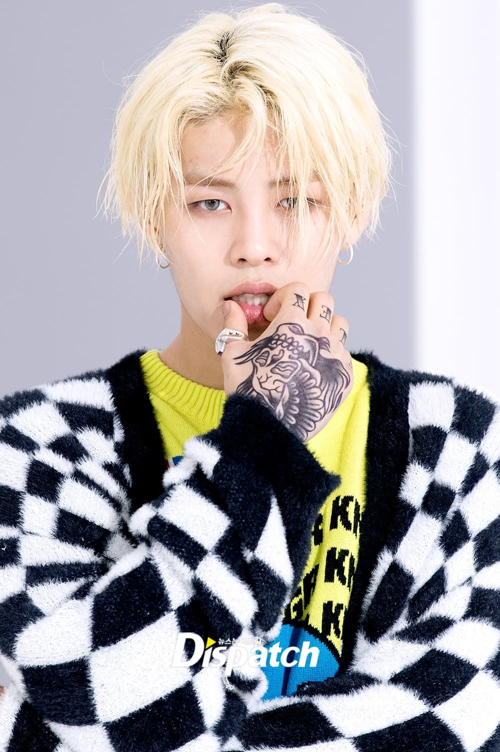 Noa photo 1