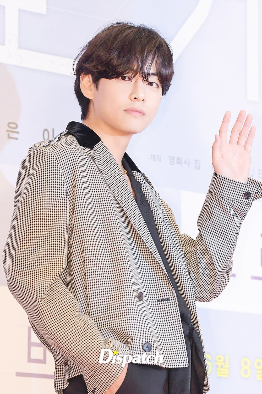 V/kim Tae Hyung