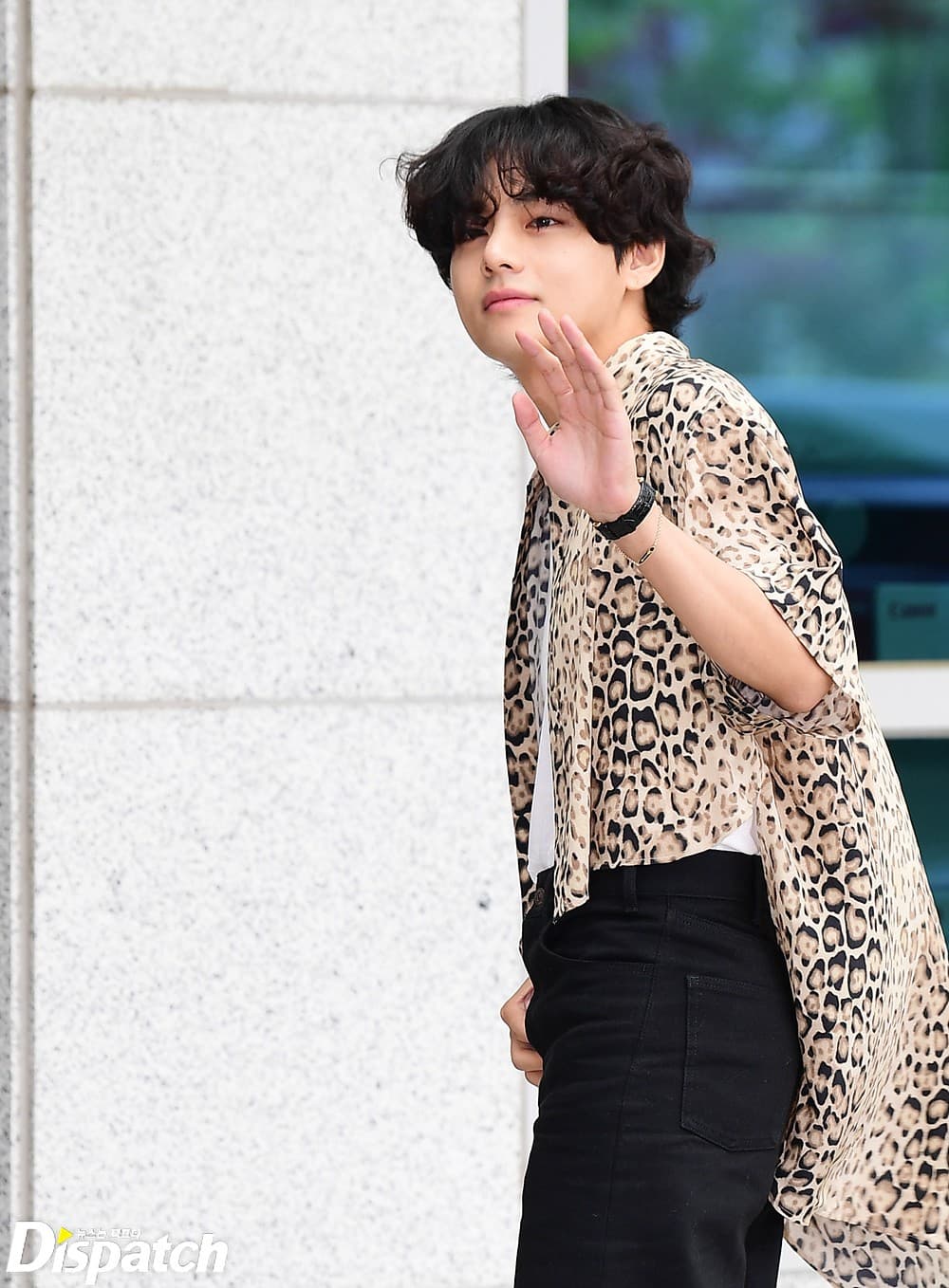 V/kim Tae Hyung