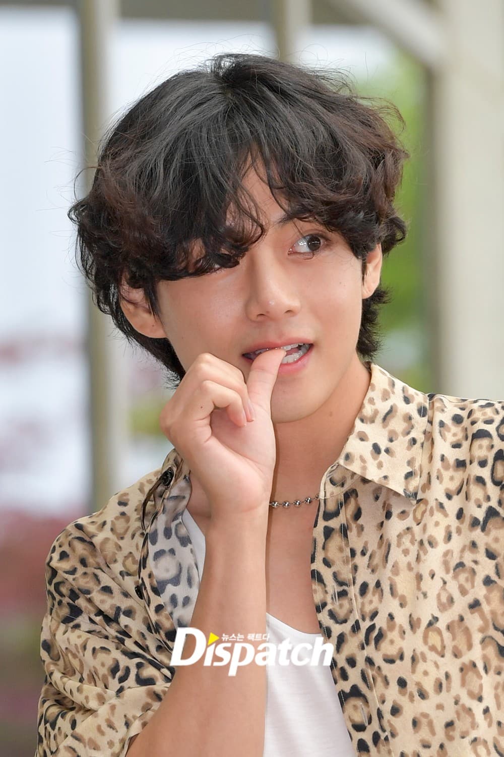 V/kim Tae Hyung