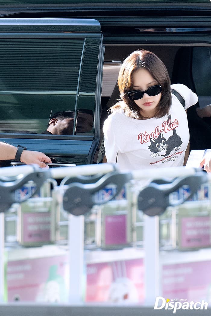 LISA photo 3