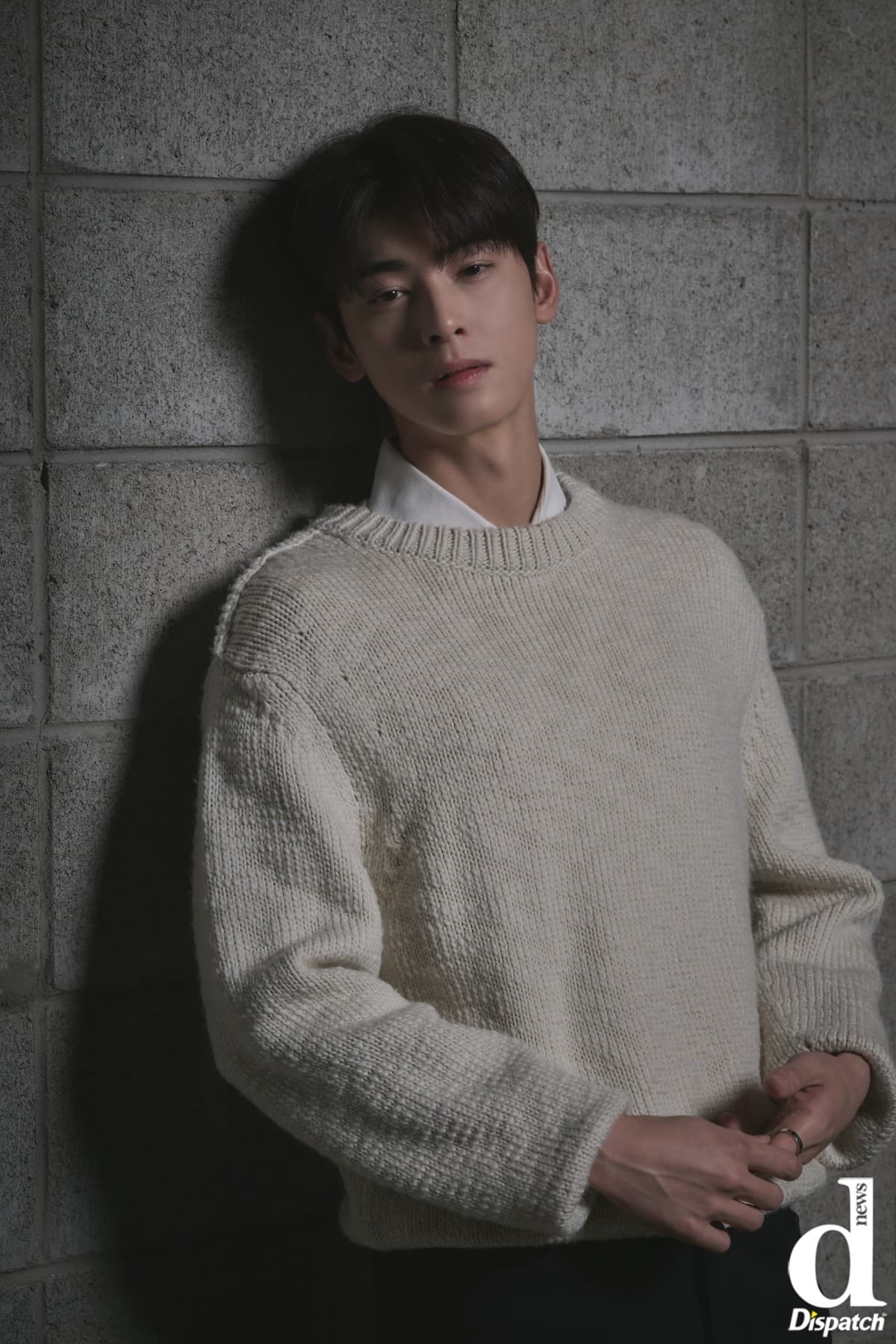 Cha Eunwoo