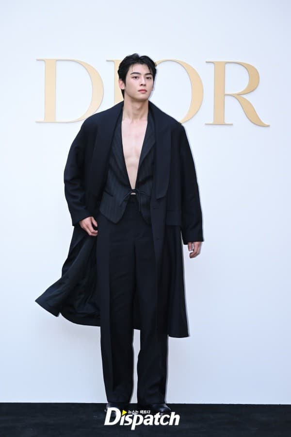 Cha Eunwoo