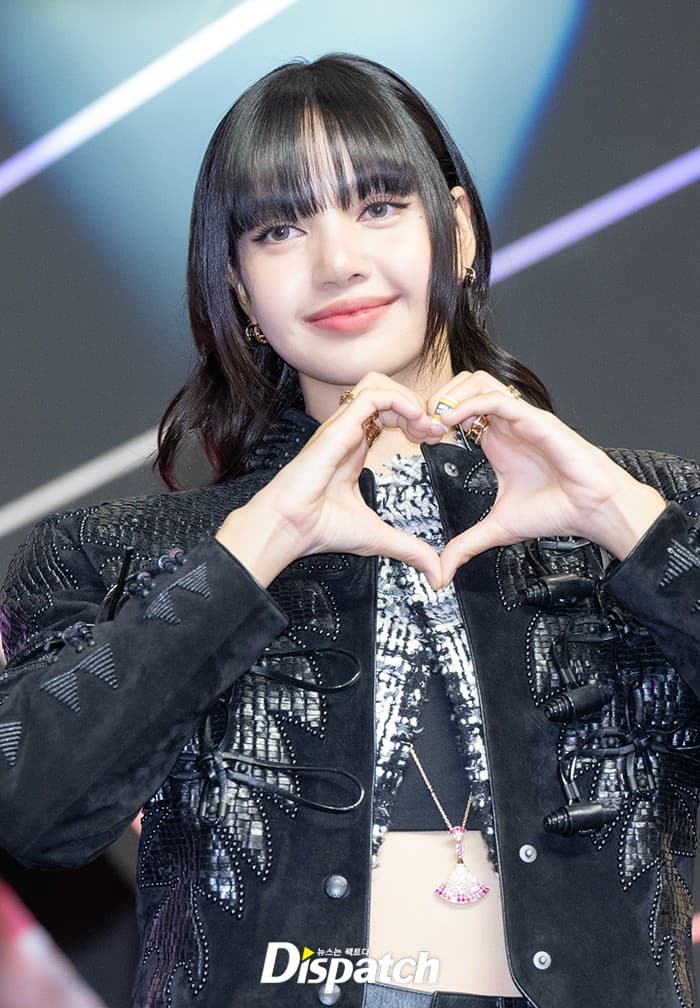 LISA photo 1